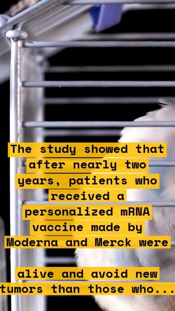 How Moderna and Merck's mRNA Cancer Vaccine Could Save Lives from Melanoma смотреть онлайн
