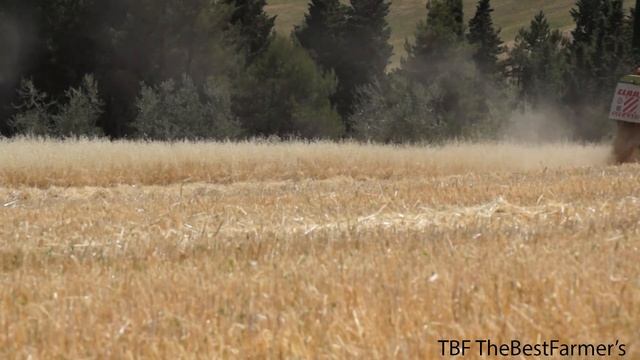 CLAAS DOMINATOR 78H - MIETITREBBIATURA 2017 Morre TR смотреть онлайн