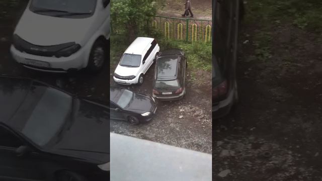 Тупая овца) смотреть онлайн