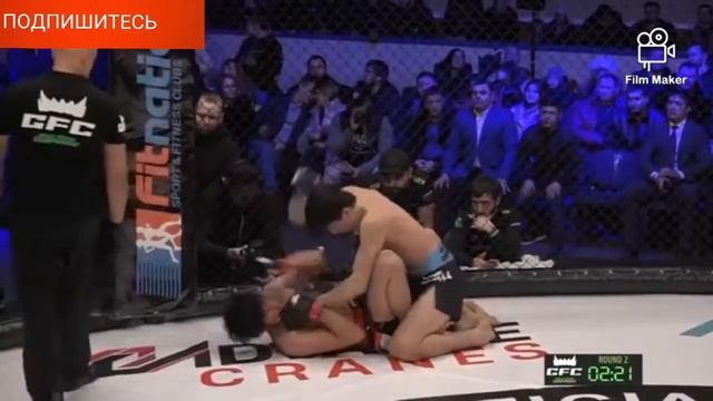 Samandar Murodov vs Shamil Gadjibekov смотреть онлайн