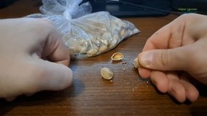 Как чистить фисташки  Проверка лайфхака
