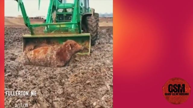 GSM Solar Update: A Crack In Earth's Magnetic Field & Nuclear Power Plant Update