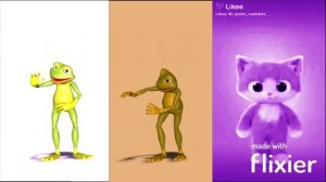 танцующий кот # танцующая лягушка