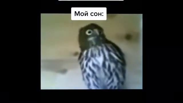 Теперь смотрю Тик Ток 😁😁😊😊😂😂 смотреть онлайн