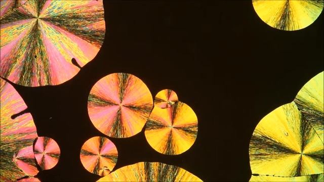 Niacinamide crystal under the microscope смотреть онлайн