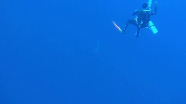 FILE0269 смотреть онлайн