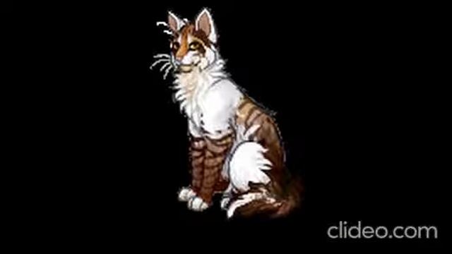 Кэтвар. Эшкью. смотреть онлайн