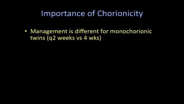 SonoWorld: Twin Pregnancies смотреть онлайн