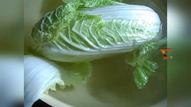Заливаю кипятком пекинскую капусту серия 1#вкуснодома время на кухне с пользой смотреть онлайн