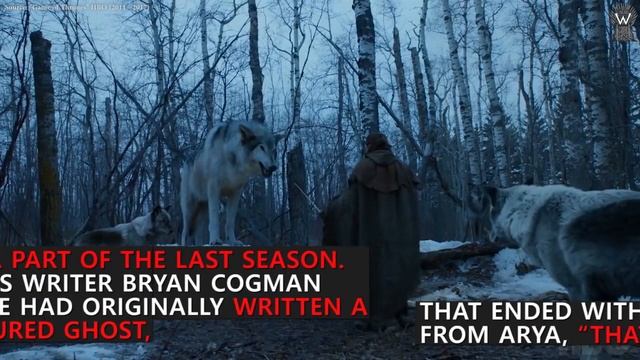 Game of Thrones VFX supervisor Joe Bauer confirms Ghost will return for Season 8 смотреть онлайн