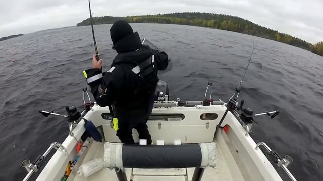 Puula 2017 - 3 x +60cm järvilohi ja taimenet päälle. смотреть онлайн