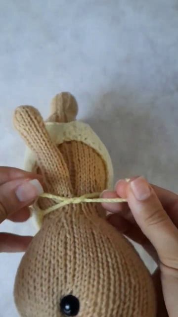 Купальник для капибары #handmade#knitting#toys #вязание#рукоделие#игрушки#crochet#capibara#капибара смотреть онлайн