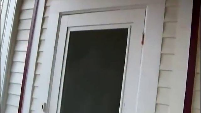 Енот застрял смотреть онлайн