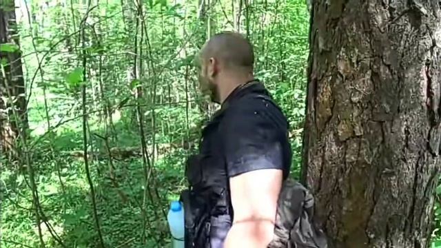 охота не кабана с Серёгой штыком смотреть онлайн