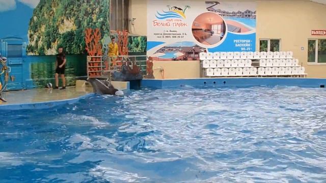 заплыв на скорость смотреть онлайн