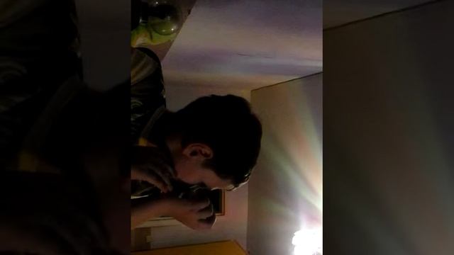 Мой хороший хомяк и мой (хейтер) смотреть онлайн