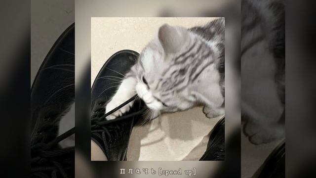 rizza - плачь { speed up } смотреть онлайн