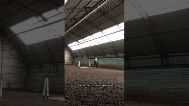 Устаете и сбиваете дыхание во время езды - знакомо? #конныйспорт #конь #лошади #дыхание #рысь #hors смотреть онлайн