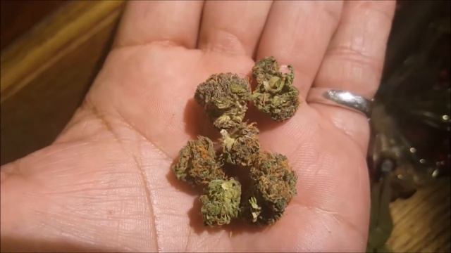 SC420R-OG PLATINUM KUSH/LAVENDER KUSH смотреть онлайн