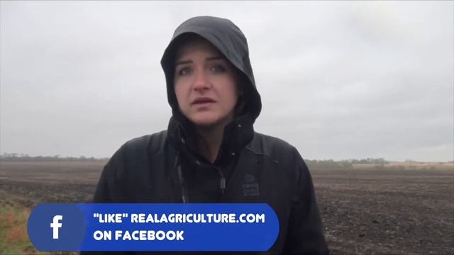 Canola School: Assessing Seed Survival and Seeder Performance смотреть онлайн