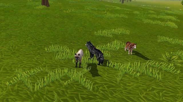 Сериал «зверь во мне» серия 1 смотреть онлайн