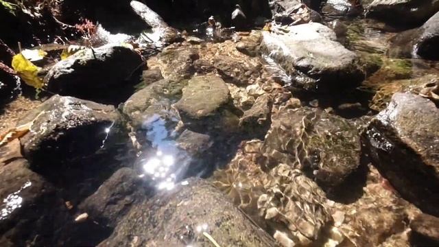 Masti the Mastodon: A Prehistoric Adventure смотреть онлайн