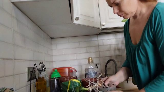 Будни мамы / полетели все планы/ занимаюсь цветами/ готовлю тушёную утку в собственном соку смотреть онлайн