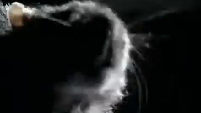 Григорий Лепс Крыса Official video смотреть онлайн