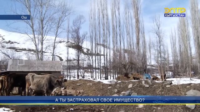 А ТЫ ЗАСТРАХОВАЛ СВОЕ ИМУЩЕСТВО? смотреть онлайн