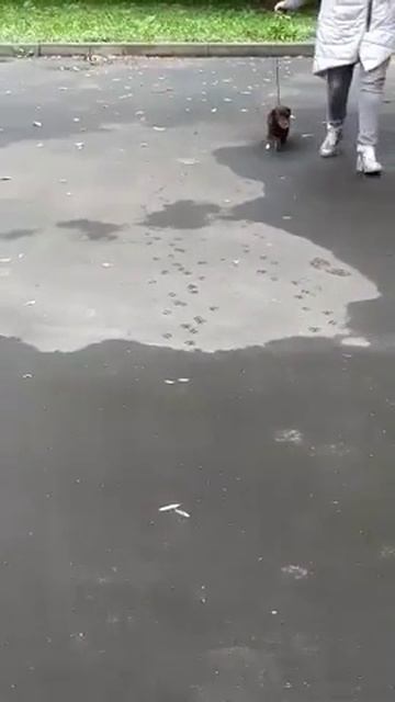 Без названия смотреть онлайн
