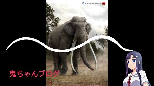 マンモスの写真セット смотреть онлайн