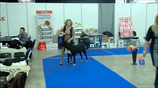 Регионалка САС