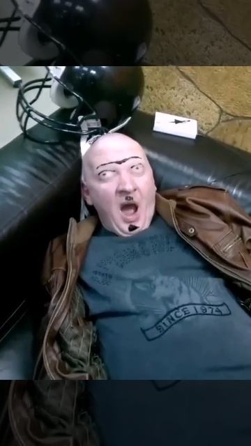 это сибирский кот) смотреть онлайн