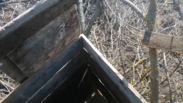 Обзор моего *дома на дереве* смотреть онлайн