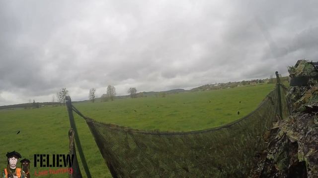 Compilation de tirs de corvidés , partie 5, freux et corneilles смотреть онлайн