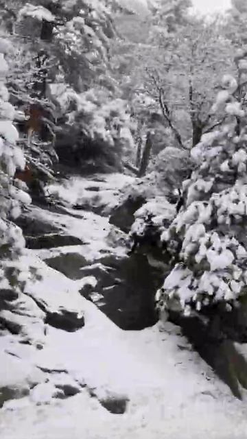 November 22, 2021 смотреть онлайн