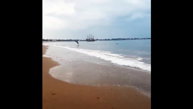 Турция 2017 смотреть онлайн