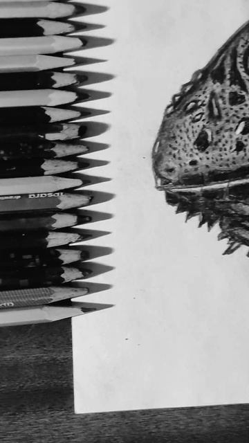 Lizard sketch #art #shorts #viral #viralshorts #youtube #like смотреть онлайн