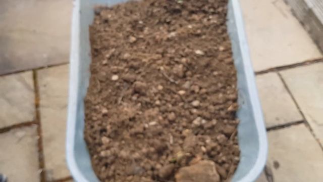 Scheppach RS400 Soil Sieve - amazing results! смотреть онлайн