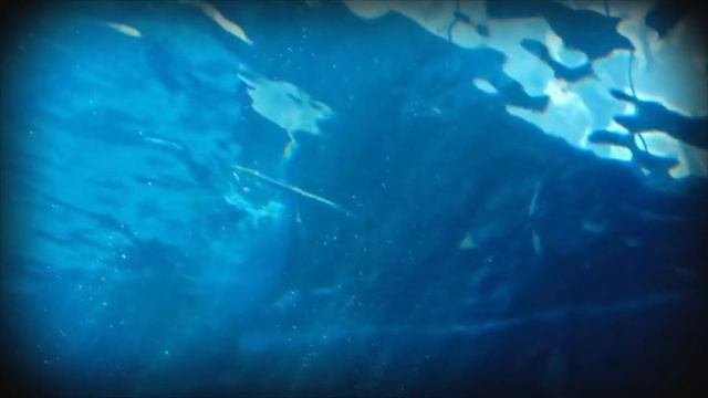 Deep sleep, relaxing music, aquarium for relaxation, meditation music, best relax music, calm music смотреть онлайн
