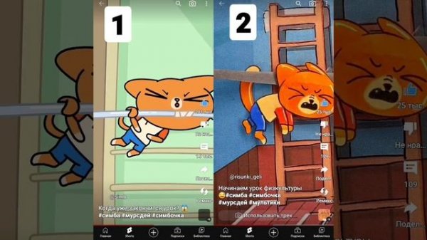 #симба #симбочка #симбочкапимпочка #симбатоп #бенчик #кошечкамурсдей