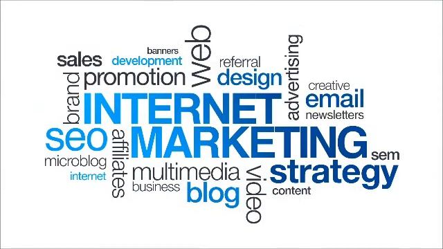 Dingo Dog Design | A Digital Marketing Company