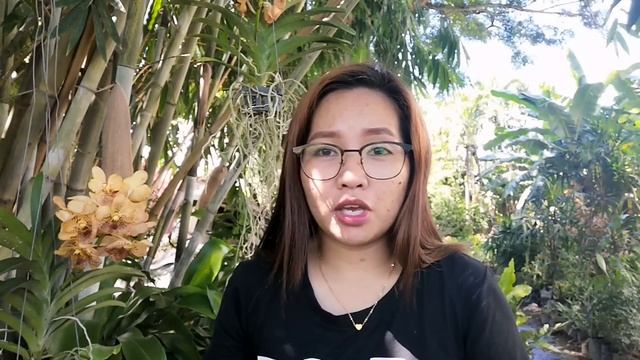 PAANO ALAGAAN ANG VANDA ORCHIDS|PARAAN KUNG PAANO PABULAKLAKIN ANG ATING MGA VANDA ORCHIDS смотреть онлайн
