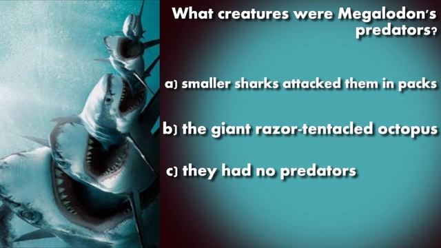 Megalodon Monster Shark - Megalodon Trivia Quiz смотреть онлайн