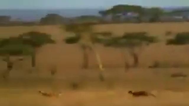 Самый быстрый человек смотреть онлайн