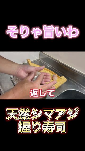 天然シマアジ握り#握り寿司#江戸前寿司#俺たまご#シマアジ#シマアジ釣り#飯テロ смотреть онлайн