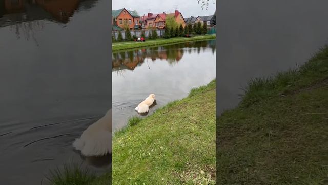 Опергруппа возвращается с задания. ❤️❤️❤️