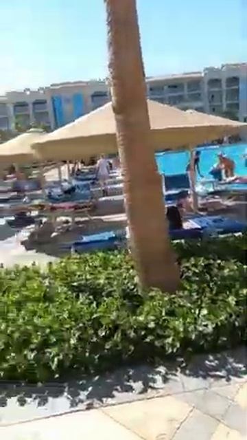 albatros white beach 2021 смотреть онлайн