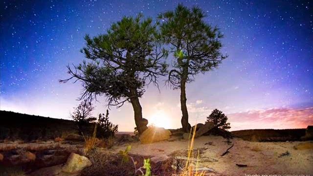 Detachment 九 -  Aurora