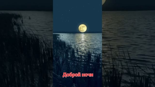 Марина Быстрицкая - Какая Нынче Ночь смотреть онлайн